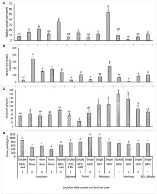 Inhibition of N2 Fixation by N Fertilization of Common Bean (Phaseolus vulgaris L.) Plants Grown on Fields of Farmers in the Eastern Cape of South Africa, Measured Using 15N Natural Abundance and Tissue Ureide Analysis
